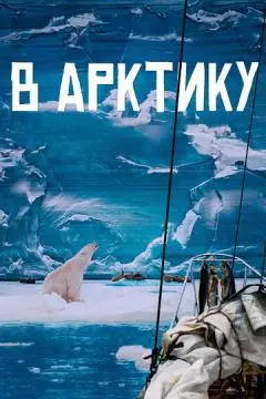В Арктику онлайн